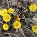 Frühling