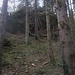 Frank erkundete noch diese Rippe - dann stromern wir auf dem WW vergnügt zurück zum Ausgangspunkt<br />Schee wars! Danke Frank