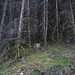 Eine "finstere" Ecke