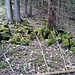 Teilweise behauene Steine, das war einmal ein Gaden