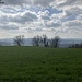Blick nach Süden.