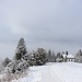 auf der Neureuth