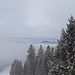 auf Zehenspitzen überm Nebel