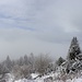 wo sind denn die Berge?