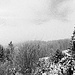 auf der Neureuth