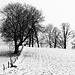 Spätwinter