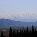 TAG 7 (6.3.): <br /><br />Während der Rückfahrt zur Küste mit einem Minibus, als ich von شتورا (Shtawrā) wieder Passübergang das Gebirge hochfuhr, hatte ich eine wunderschöne Sicht auf den Landeshöhepunkt Syriens. Der 2814m hohe جبل الشيخ (Jabal ash Shaykh) liegt auf der Grenze zwischen Libanon und Syrien. Die syrische Ostseite des Berges ist seit der Machtübernahme der Übergangsregierung unter أحمد الشرع (’Aḩmad al Shara‘) völkerrechtswidrig durch den Aggressor Israel im Dezember 2024 besetzt. Hoffentlich kann er in einigen Jahren in einem freien Syrien wieder besucht werden.