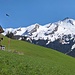 Blau - weiss - grün: Usbekistan?