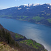 Blick auf den östlichen Walensee