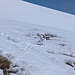 Kurz vor dem Gipfel des Zwölfihorns habe ich ein Schneehuhn gesehen. Es war so von der eigenen Tarnung überzeugt, dass ich es mit dem Handy fotografieren konnte.