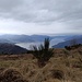 Dal Monte Borgna