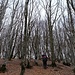 In prossimità della cima del Borgna