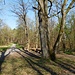 Wegkreuzung "Drei Eichen"