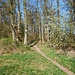 Wandern über dem Heuchelberg in Richtung Eppingen 