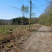 Unterwegs nach Eppingen 