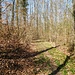 Abstieg nach Eppingen 