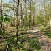 Wandern über den Heuchelberg in Richtung Eppingen