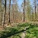 Unterwegs nach Eppingen 