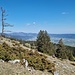 Der Chasseral.