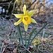Letzte Sonne vom Tag.