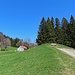 im Aufstieg von Gais zum Gasthaus Oberer Gäbris