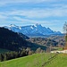 vom Wander-Parkplatz in Wissegg an der Bühlerstrasse hat man diese schöne Aussicht zum Alpstein.