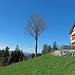 zur Zeit ist das Gasthaus noch geschlossen<br />