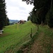 Le chemin s'approche de Zwang