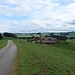 Kaltenegg