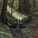Dans la montée entre Häusernmoos et Juch
