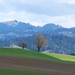 Paysage entre Juch et Lueg