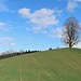 Arbre à Lueg