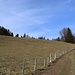 hinauf zum Reifenberg