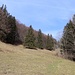Abstieg vom Reifenberg
