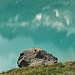 Lago con Marmotta su sasso!