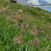 Lago Serrù