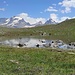 Laghi Trebecchi