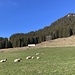 auch sie ruhen friedlich
