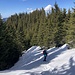 ... zur ebenfalls noch gut eingeschneiten Schneise unterhalb Dählebode