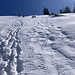 steiler, schneereicher Abstieg ...