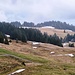 .... Oberhag und via Summerichopf...