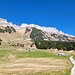 ... Oberhag zur Alp Oberwis