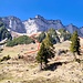 Links Aufstieg, rechts Abstieg.<br />Zurück beim Bike folgte ich weiter meiner Tour. <br />Zurück bei Ebenboden, weiter auf der Bikeroute Nr. 55