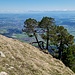 Mittellandblick