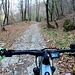 I<b>nizia un tratto molto sconnesso, cosparso di sassi, sul versante destro della Valle Erboggia. Strada facendo il selciato migliora e la discesa risulta meno impegnativa rispetto all’inizio.</b>