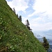 In der Flanke im Anstieg zum Klimsenhorn-Ostgrat. Die Bäume geben Eindruck, wie steil das Gelände ist...