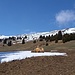 Er geniesst den Schnee