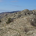 Sul crinale monte Rama - cima Fontanaccia.