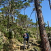 Salita iniziale in pineta marittima.