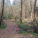 Ormai sono nei pressi di Monte Carmelo e sono alla fine della mia lunga camminata (di 23,5 km), fatta prevalentemente nei boschi.
